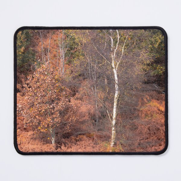 Item preview, Orange silence (autumnal trees) designed and sold by morganimagery.
