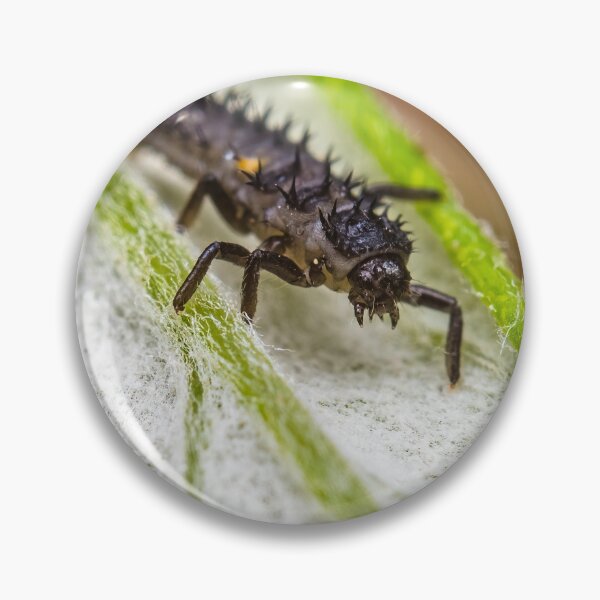 Item preview, Ladybug Larvae - Coccinellidae designed and sold by AronsTinySafari.