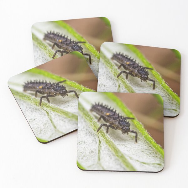 Item preview, Ladybug Larvae - Coccinellidae designed and sold by AronsTinySafari.