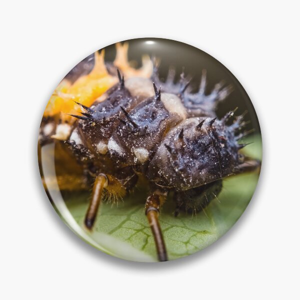 Item preview, Ladybug Larvae - Coccinellidae designed and sold by AronsTinySafari.