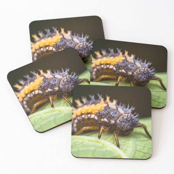 Item preview, Ladybug Larvae - Coccinellidae designed and sold by AronsTinySafari.