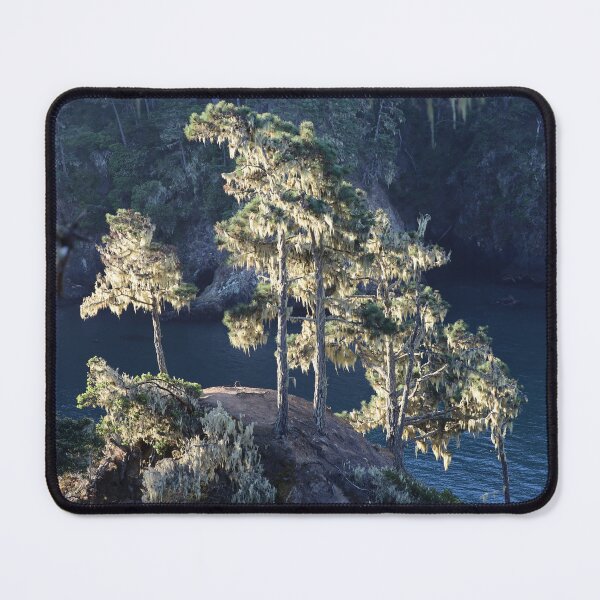 Item preview, backlit rg designed and sold by Coastwind Photography.