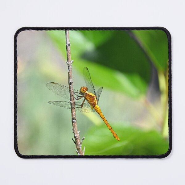 Item preview, Dragon fly designed and sold by Doug Cliff.