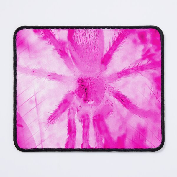 Item preview, Tarantula Spiderling V13 designed and sold by IgorAndMore.