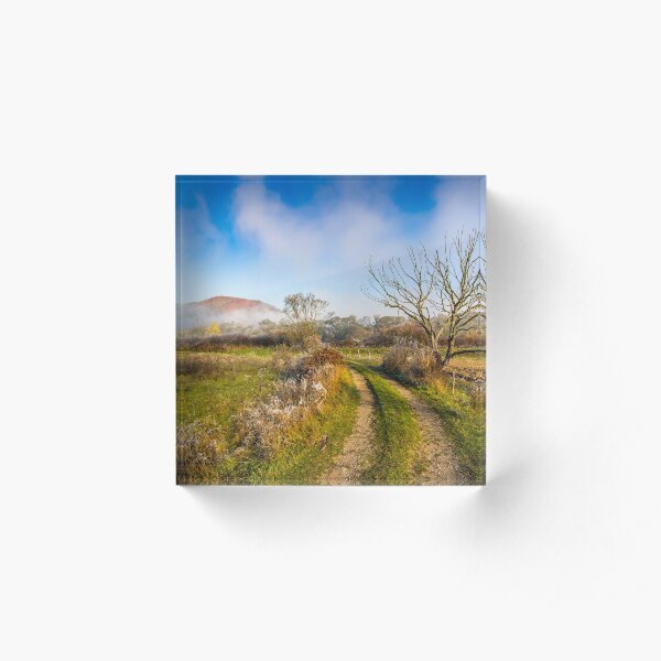 rural landscape with road through agricultural meadow in fog Acrylic Block