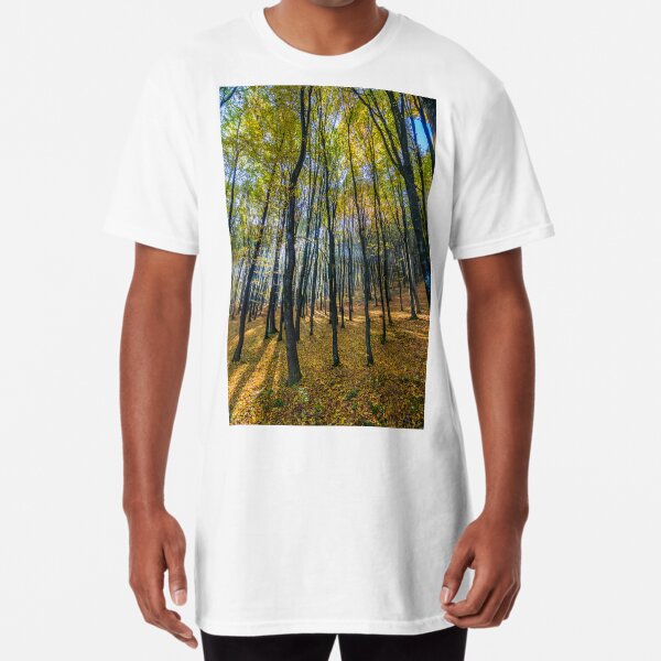 forest in foliage on sunny autumn day Long T-Shirt