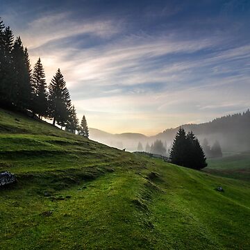 Artwork thumbnail, fir trees on meadow between hillsides in fog before sunrise by mike-pellinni
