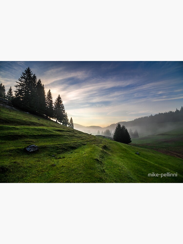 Thumbnail 3 of 3, Sticker, fir trees on meadow between hillsides in fog before sunrise designed and sold by mike-pellinni.