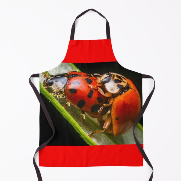Item preview, Mating Lady bugs - Coccinellidae designed and sold by AronsTinySafari.