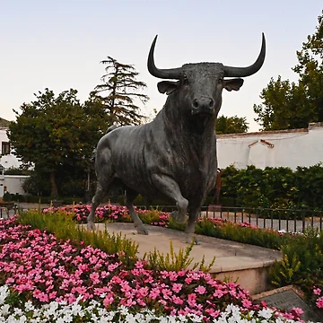 Artwork thumbnail, Bull Statue In Ronda by Kate-P-