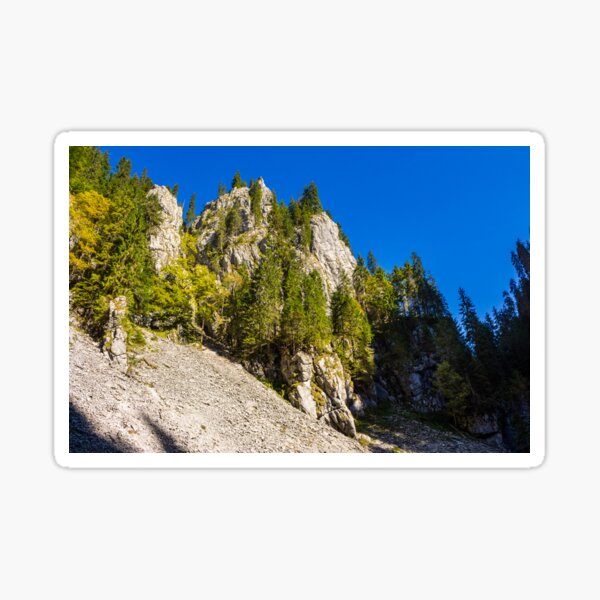 coniferous forest on a rocky hillseide of mountain Sticker