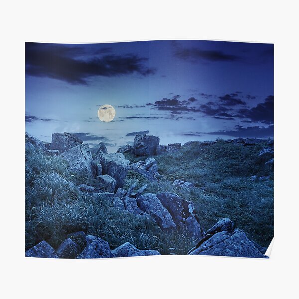 boulders on the mountain meadow with dandelions at night Poster
