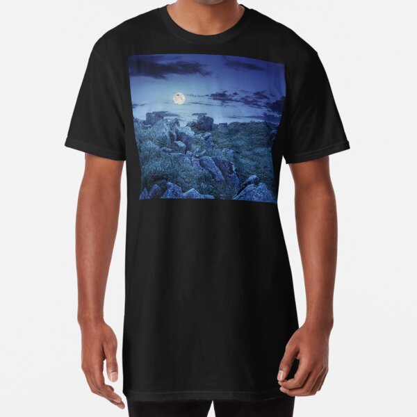 boulders on the mountain meadow with dandelions at night Long T-Shirt