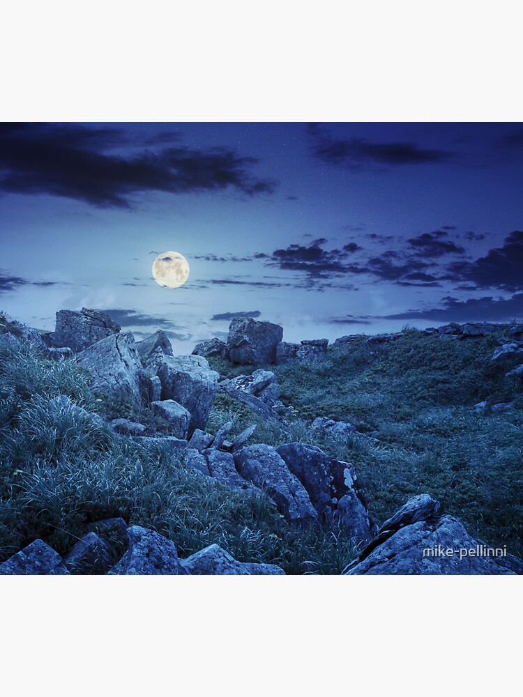 boulders on the mountain meadow with dandelions at night by mike-pellinni