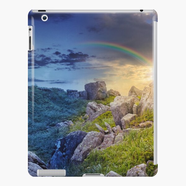 boulders on the mountain meadow with dandelions 24 hour collage iPad Snap Case
