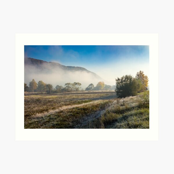 morning fog among trees Art Print