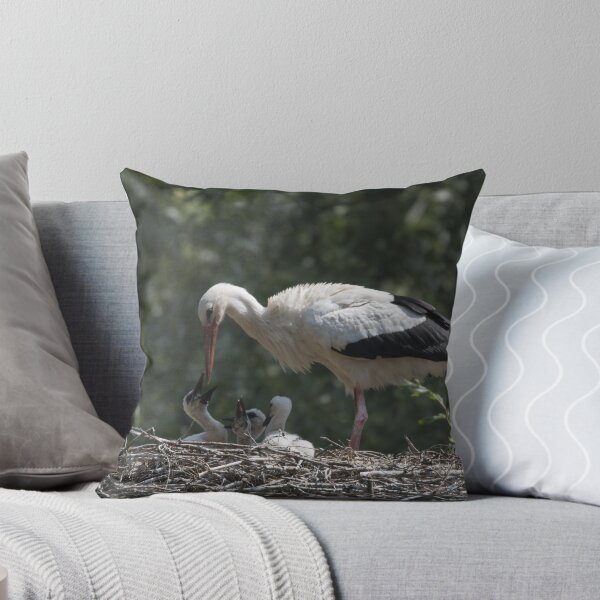 Item preview, White stork feeding the chicks designed and sold by pietrofoto.