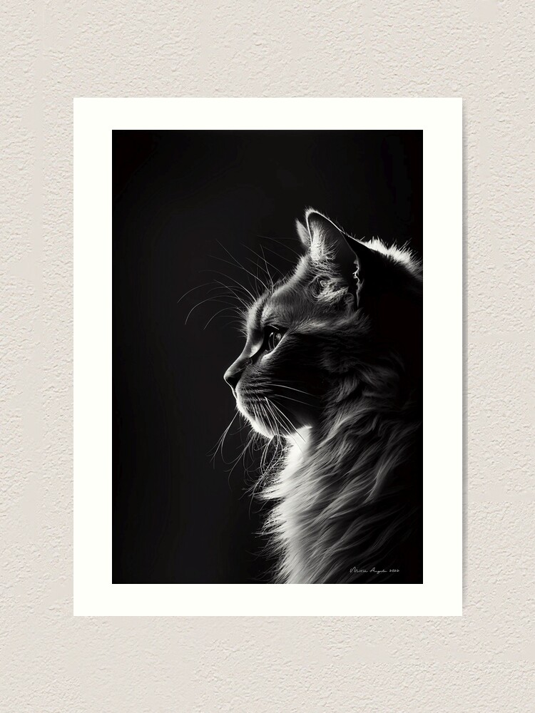 Black And White Studio Cat Portrait Art Print