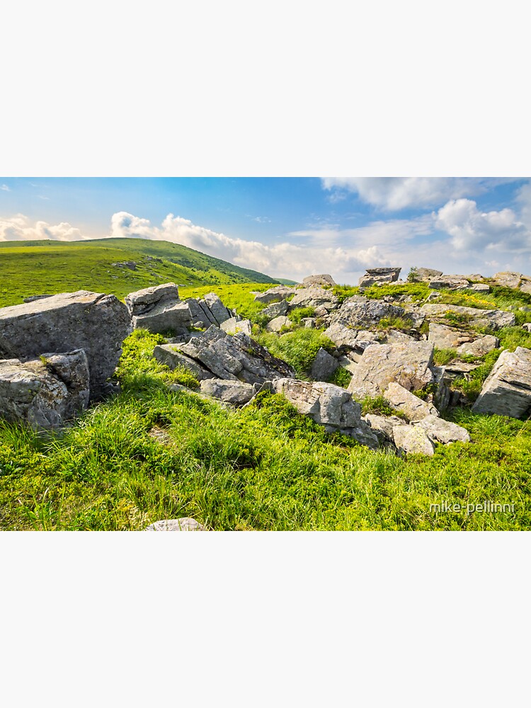 boulders on the mountain meadow by mike-pellinni
