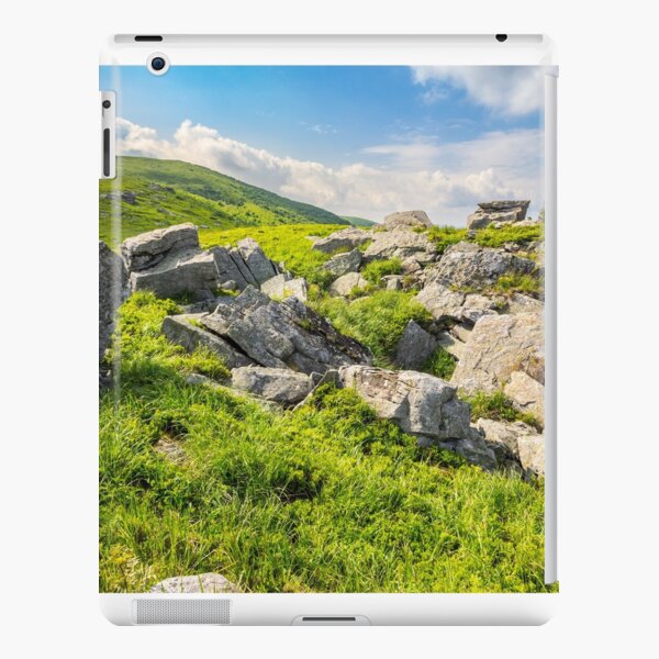 boulders on the mountain meadow iPad Snap Case