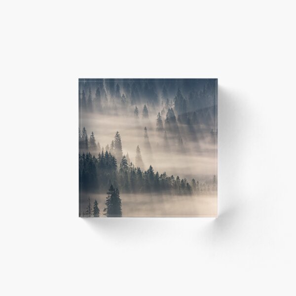 coniferous forest in foggy mountains Acrylic Block