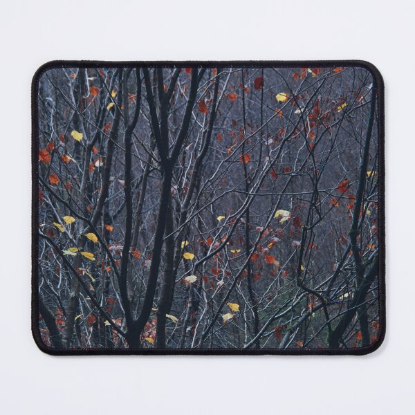 Item preview, Beech stand, dusk designed and sold by ShinyPhoto.