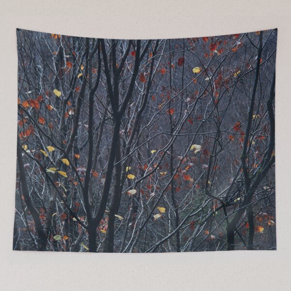 Item preview, Beech stand, dusk designed and sold by ShinyPhoto.