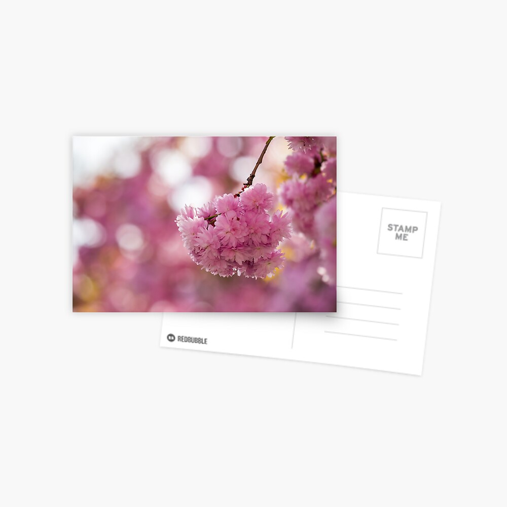 Item preview, Postcard designed and sold by mike-pellinni.