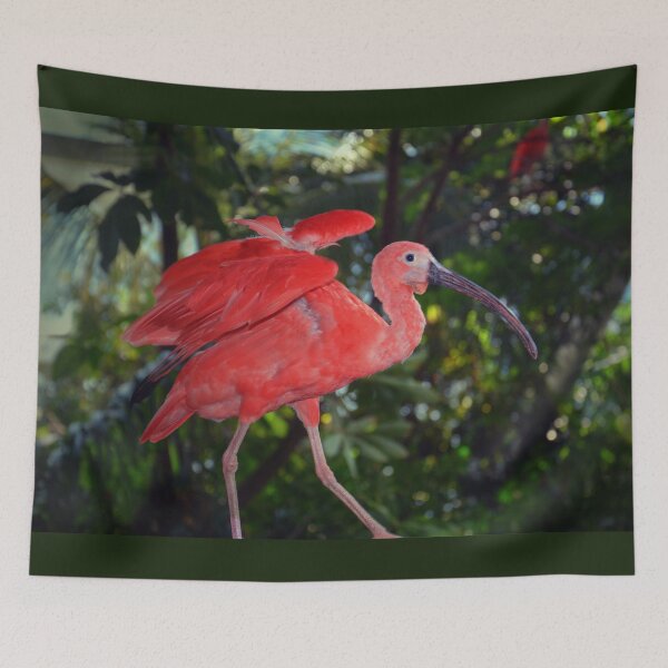 Item preview, Ibis  designed and sold by Savannah Gibbs.