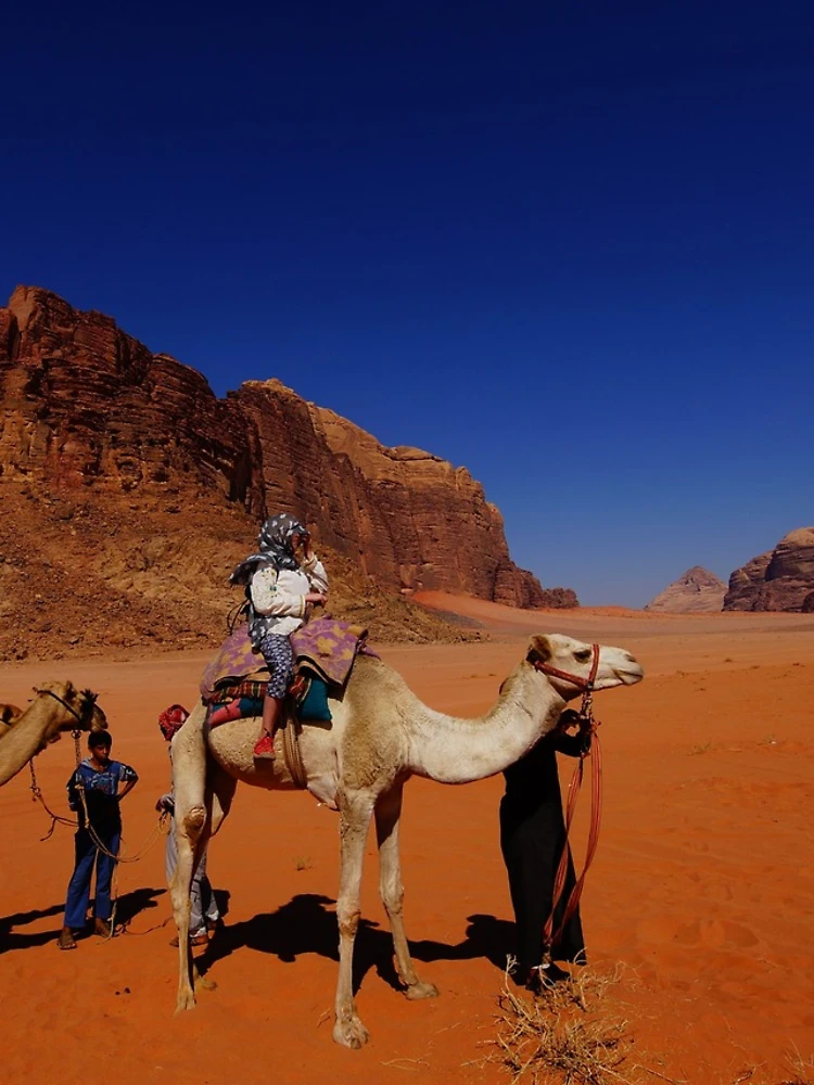 Thumbnail 4 of 4, Samsung Galaxy Phone Case, WADI RUM CAMEL RIDE designed and sold by BYRON.