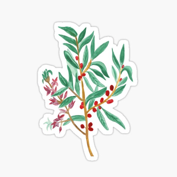 Botanical Sticker
