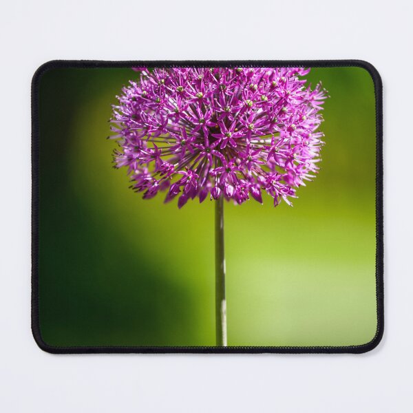 Item preview, Purple Flower designed and sold by craigewmcg123.