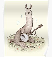 Banjo Llama Poster