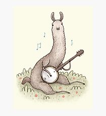 Banjo Llama Photographic Print