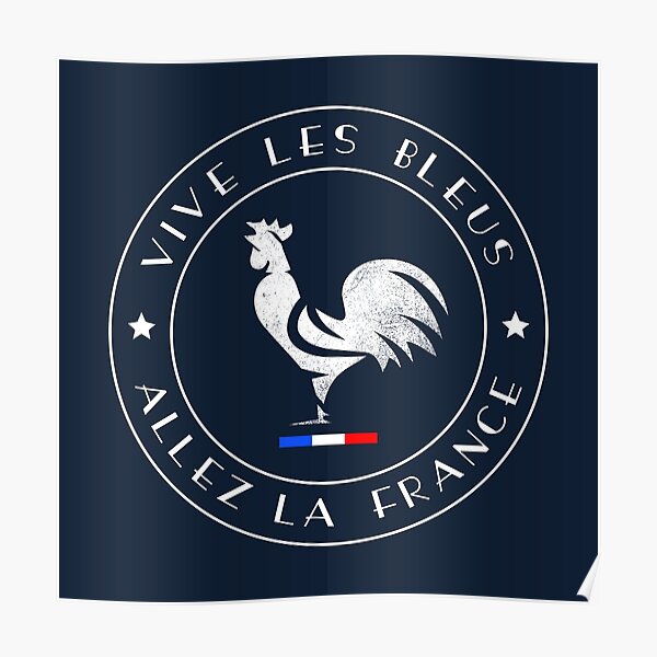 Why do France have a rooster on their badge? Les Bleus are wearing