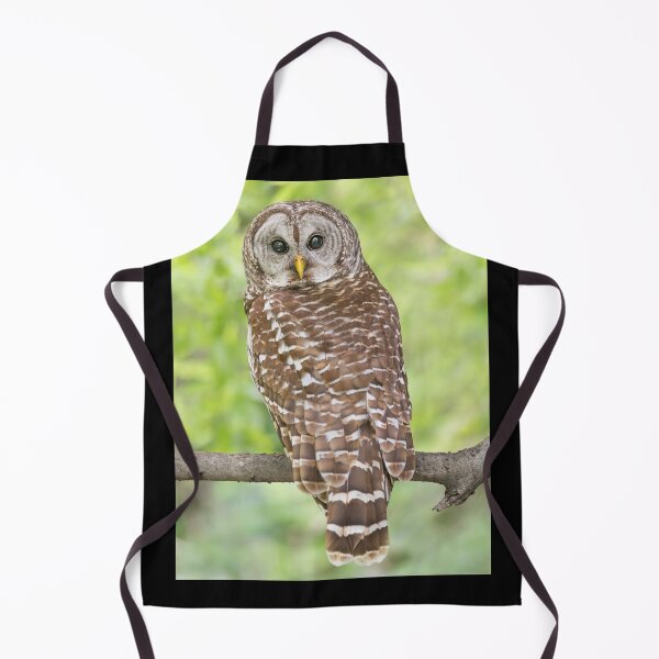 Item preview, Portrait of a Male Barred owl designed and sold by Puttaswamy Ravishankar.