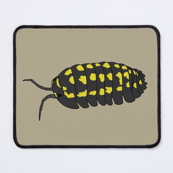 Item preview, A. gestroi isopod designed and sold by taylorrowan.