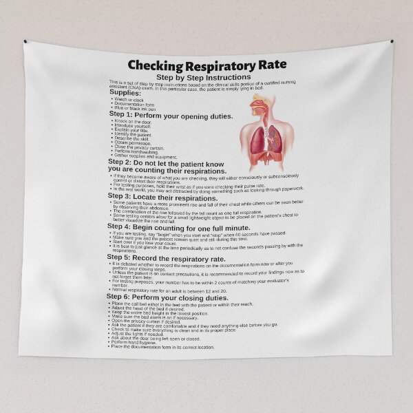 Item preview, Checking Respiratory Rate Step by Step Instructions designed and sold by Caregiverology.