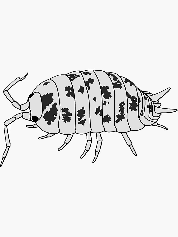 dairy-cow-isopod-sticker-for-sale-by-taylorrowan-redbubble