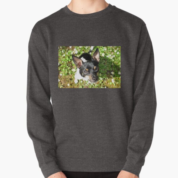 Rat Terrier in Daisies Pullover Sweatshirt