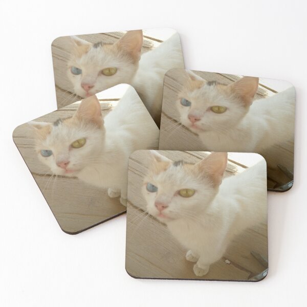 Item preview, African cat designed and sold by Blackstone0242.