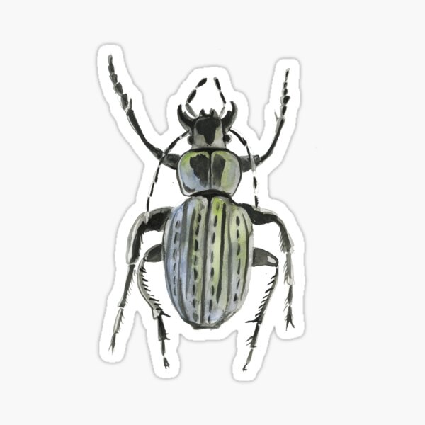 Item preview, Beetle designed and sold by Loretaaa.