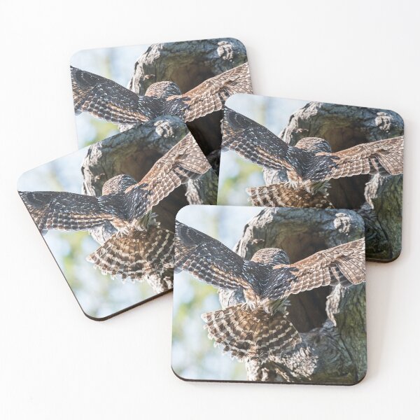Item preview, Home Sweet Home - Mama Barred owl returns to feed its babies designed and sold by Puttaswamy Ravishankar.
