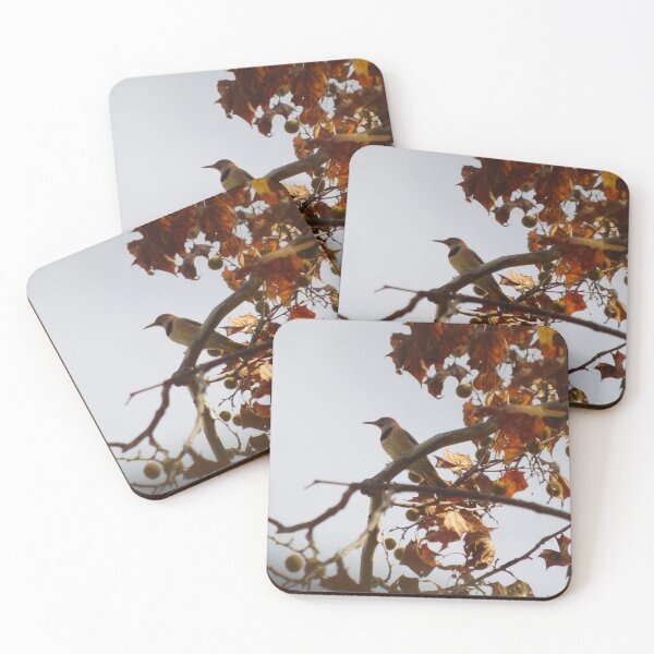 Item preview, Northern Flicker designed and sold by Avyary.