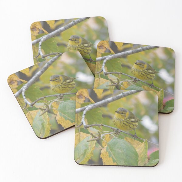 Item preview, Cape May Warbler designed and sold by Avyary.