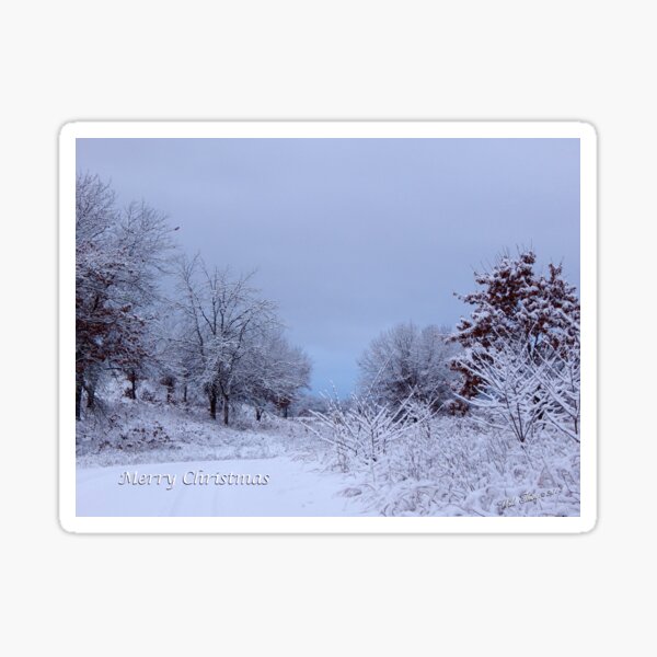 Merry Christmas Sticker
