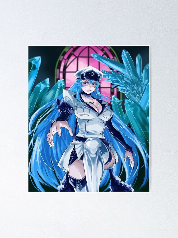 akame ga kill Poster for Sale by mannamani