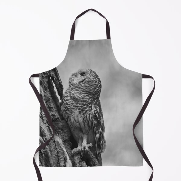 Item preview, Silent Training designed and sold by Puttaswamy Ravishankar.