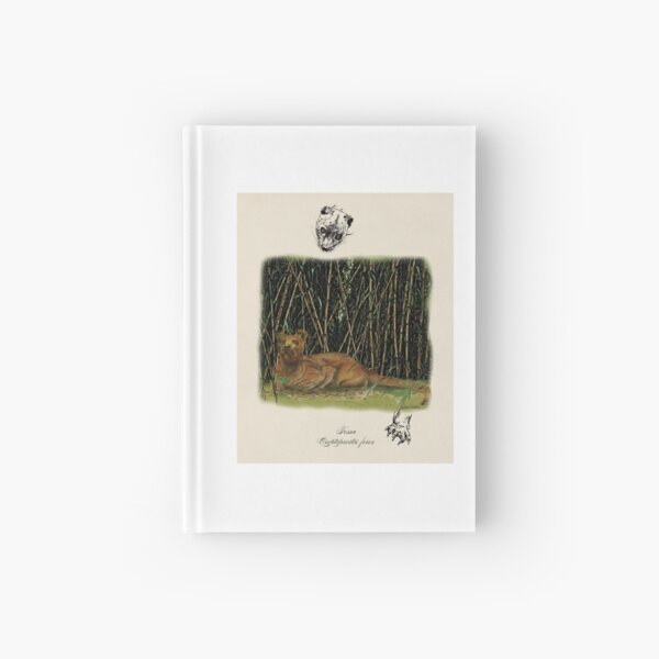 Rainforest animal print, Fossa watercolor, illustration, luxury gift art, Madagascar Hardcover Journal