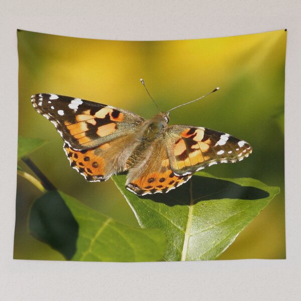Item preview, Painted Lady designed and sold by Enola Gay Wagner.